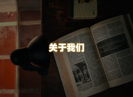 关于我们